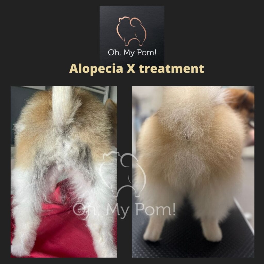 WhatsApp Image 2023-10-09 at 12.12.29