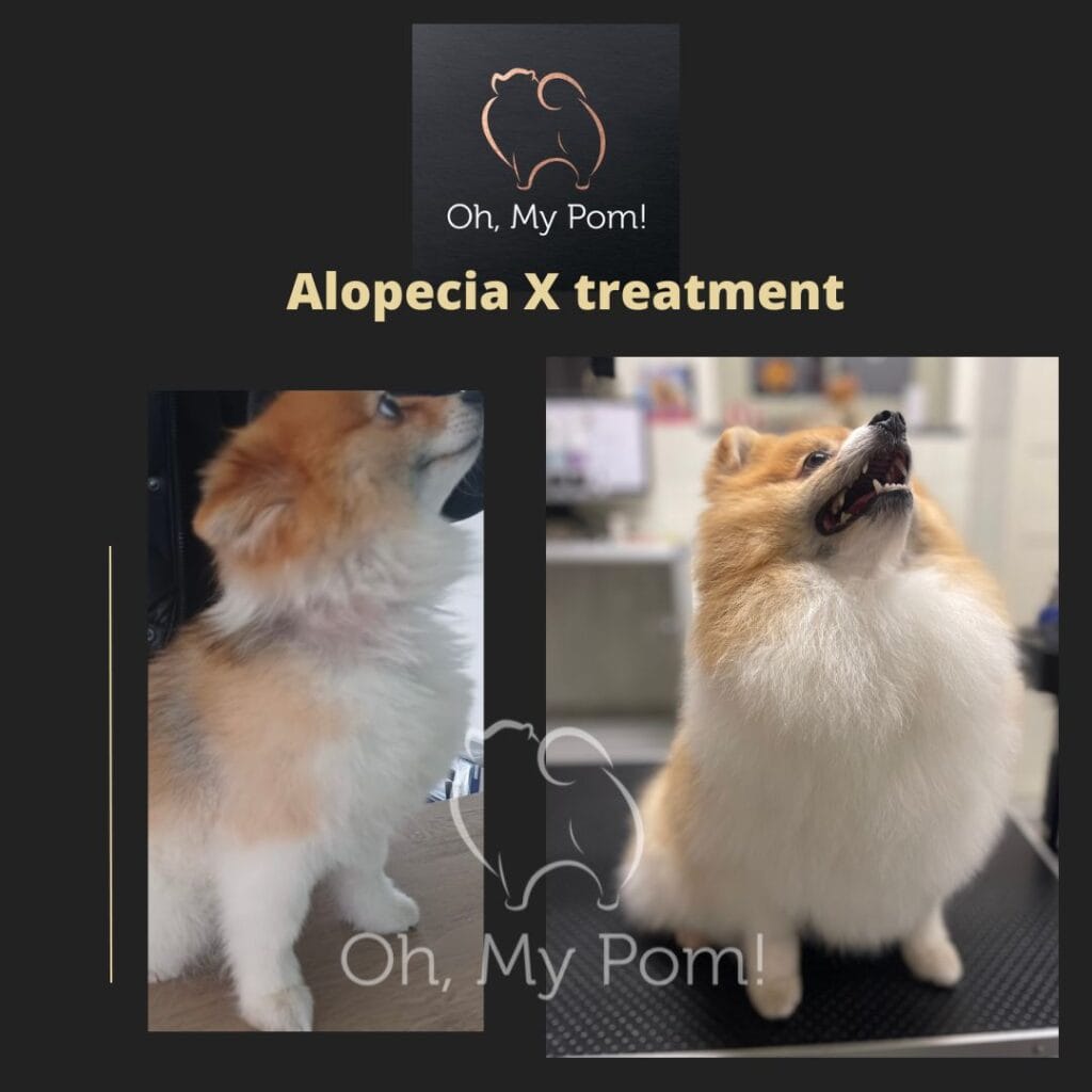 WhatsApp Image 2023-10-09 at 12.13.28